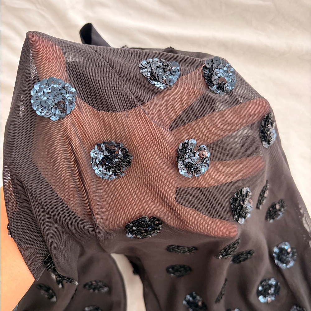 Zara Black Sheer Mesh Sequin Pants